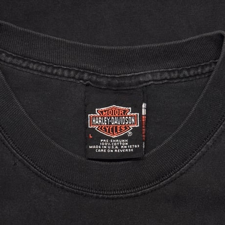 HARLEY DAVIDSON FLAME EAGLE WITCH BOO LARGE 0772