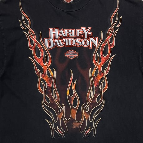 HARLEY DAVIDSON RED FLAME OF GREEN RIVER WYOMING XL 5756