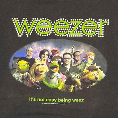 WEEZER 2002 KERMIT IT'S NOT EASY BEING WEEZ CINDER BLOCK FITS LARGE 5339