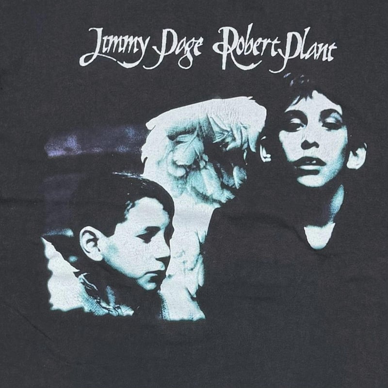 PAGE PLANT WALKING IN TO EVERYWHERE XL 4825 | g