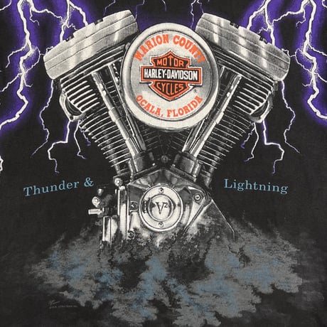 HARLEY DAVIDSON THUNDER & LIGHTNING OVP LARGE 3622