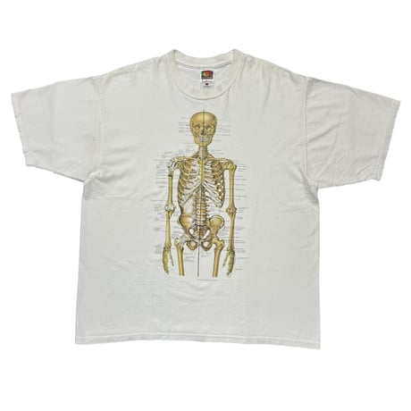 Anatomical Chart Co. FRUIT OF THE LOOM LARGE