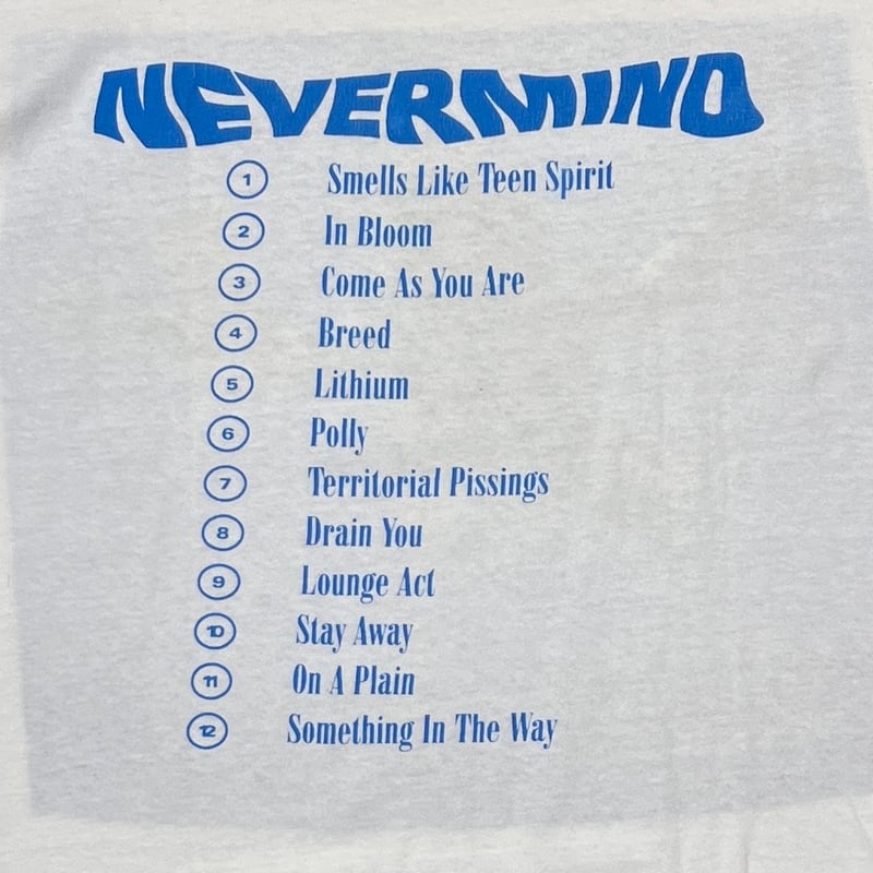 NIRVANA NEVERMIND Y2K ANVIL LARGE 1755 | greatL