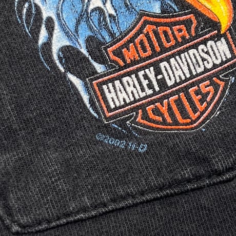 HARLEY DAVIDSON 2002 BLUE FLAME EAGLE WISCONSIN POCKET LS XL 3782