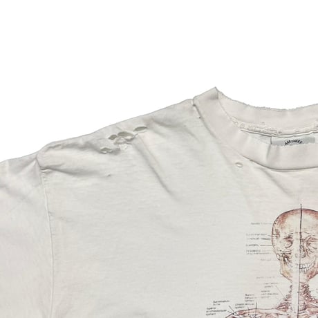 OLD & VINTAGE HUMAN SPECIMEN WHITE XXL 7556