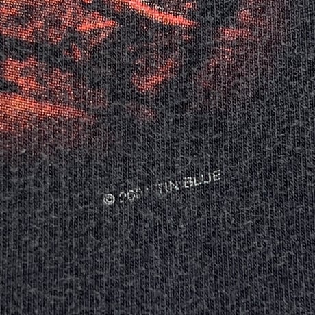 PINK FLOYD THE WALL CYGNUS LARGE 6764