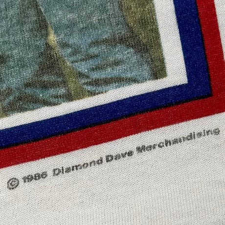 DAVID LEE ROTH ROTH RULES RAGLAN FITS MEDIUM 5160