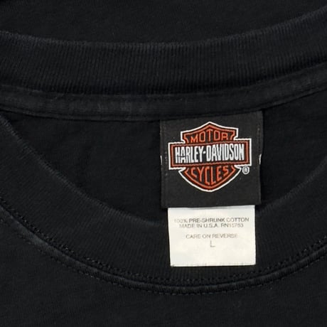HARLEY DAVIDSON 2004 BLUE FLAME SKULL LS LARGE 8722