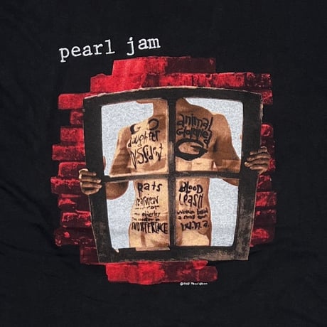 PEARL JAM 1993 WINDOW PAIN EURO XL 8897