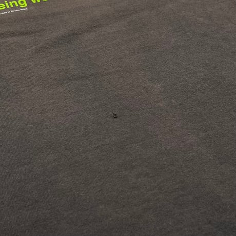 WEEZER 2002 KERMIT IT'S NOT EASY BEING WEEZ CINDER BLOCK FITS LARGE 5339