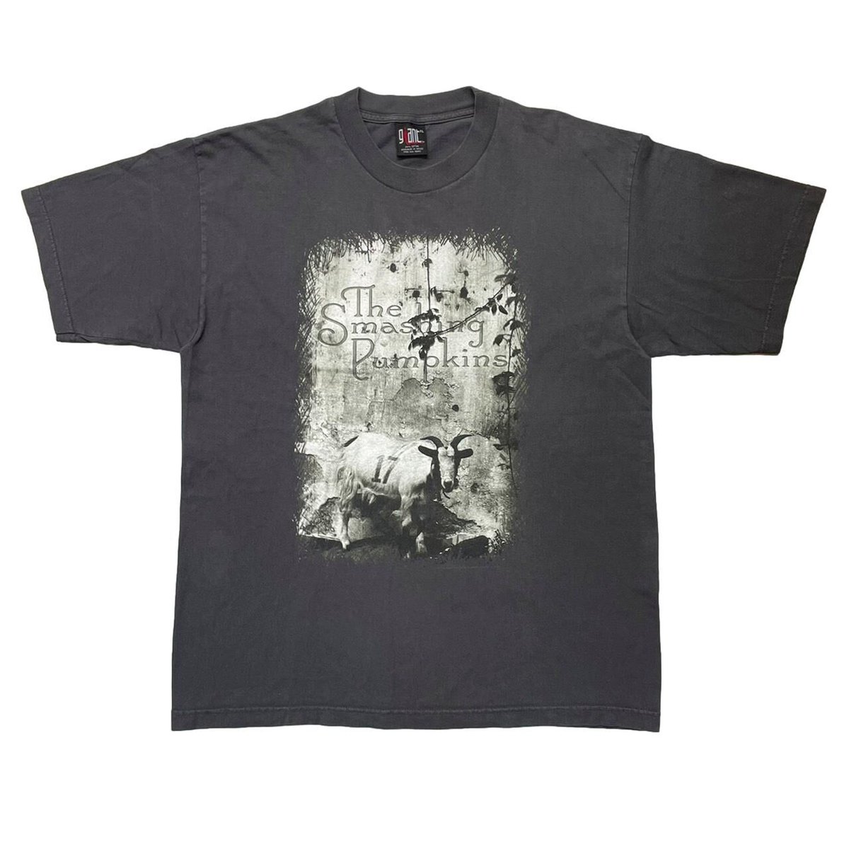 Pumpkinsさん専用 fit=scale-down,w=1200