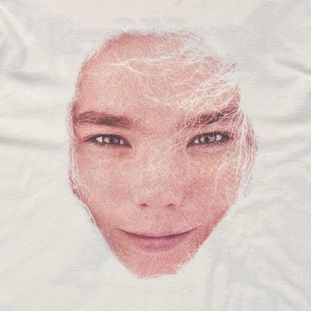 Bjork 1994 HUGE FACE WHITE PHOTO by Stephane Se