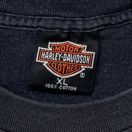 HARLEY DAVIDSON 90S FLAMING EAGLE XL 9352