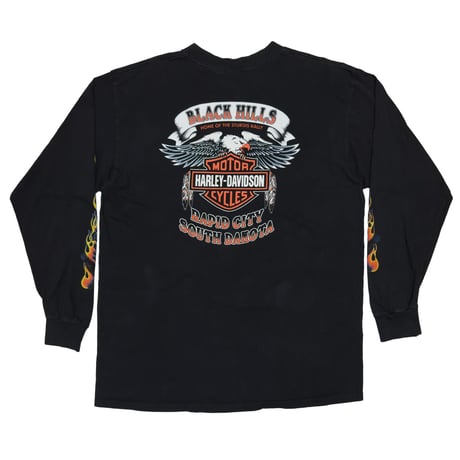HARLEY DAVIDSON EAGLE BLACK HILLS RAPID CITY SOUTH DAKOTA LS XL 0776