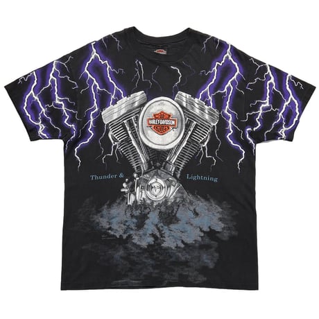 HARLEY DAVIDSON THUNDER AND LIGHTNING OVP XL 5581