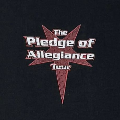 THE PLEDGE OF ALLEGIANCE TOUR 01 SLIPKNOT SYSTEM OF A DOWN FES LS FRUIT OF THE LOOM LARGE 2688
