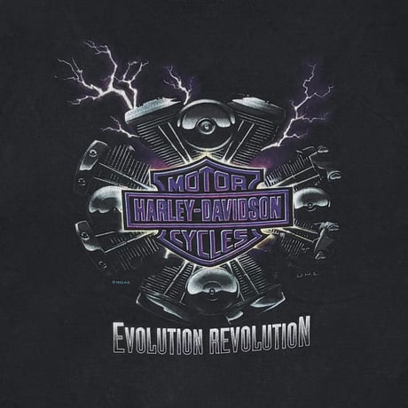 HARLEY DAVIDSON 2000 EVOLUTION BACK BLACK EMBLEM SLEEVELESS XL 5375