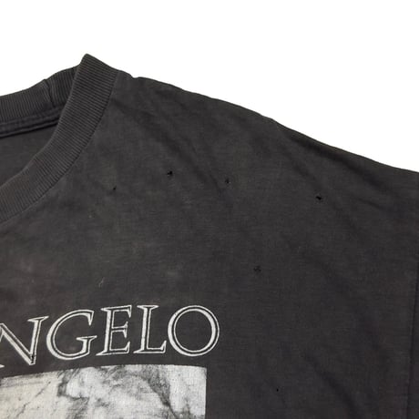 OLD & VINTATGE MICHELANGELO LA CAPPELLA SISTINA ROMA ANNO DOMINI MDXII FITS LARGE 8372