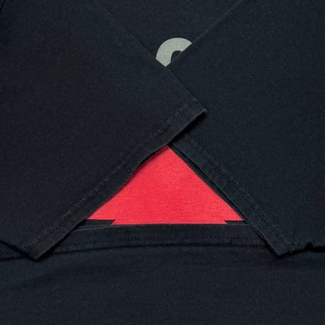 RED HOT CHILI PEPPERS 2008 LOGO HANES LARGE 6862