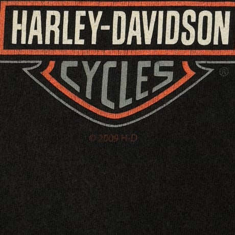 HARLEY DAVIDSON 2009 SCREW IT. LET'S RIDE LYNCHBURG LARGE 7418