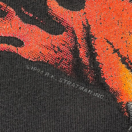 HARLEY DAVIDSON DALLAS TEXAS UNTAMED TIGER FLAME LS LARGE 8948