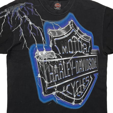 HARLEY DAVIDSON 2001 LIGHTNING HUGE EMBLEM C&S of Nashville LARGE 6779