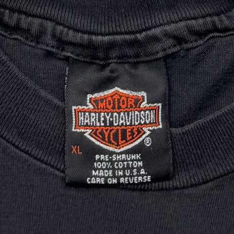HARLEY DAVIDSON FLAMING TIGER WARREN XL 9126
