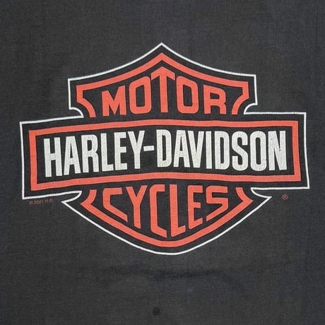 HARLEY DAVIDSON BIG EMBLEM ARM CHAIN PRINT 2001 TWIN STATES LS LARGE 3780
