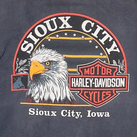 HARLEY DAVIDSON 1989 AMERICAN FLAG EAGLE am a,erican legend LS Hanes XL 8165