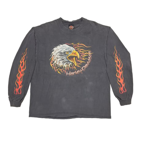 HARLEY DAVIDSON EAGLE FLAME BARNETT EL PASO TEXAS LS XL 6036