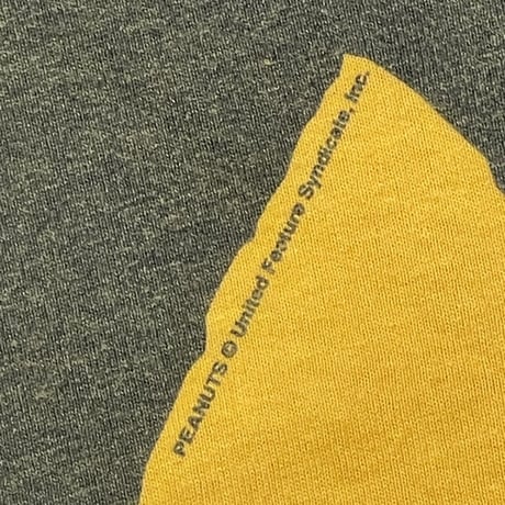 PEANUTS CHARLIE BROWN YELLOW ALSTYLE LARGE 9488