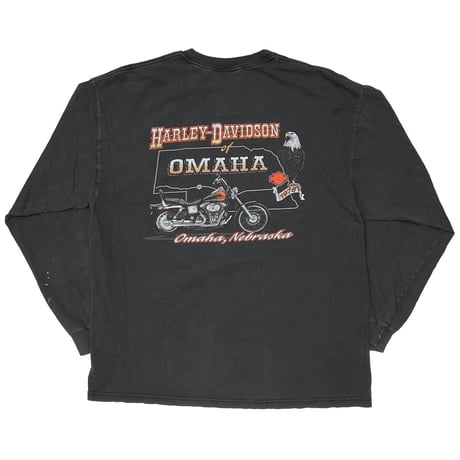 HARLEY DAVIDSON ENGINE ARM FLAMING OMAHA LS XL 3324