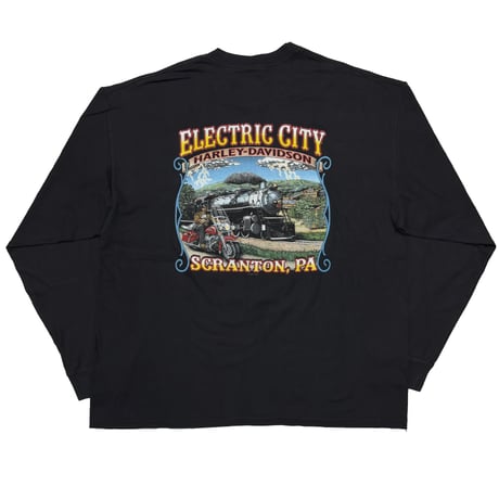 HARLEY DAVIDSON 2001 ENGINE FLAME LS ELECTRIC CITY SCRANTON XXL 5369