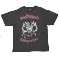 BODY COUNT COP KILLER ICE-T LS LARGE 2859 | gre