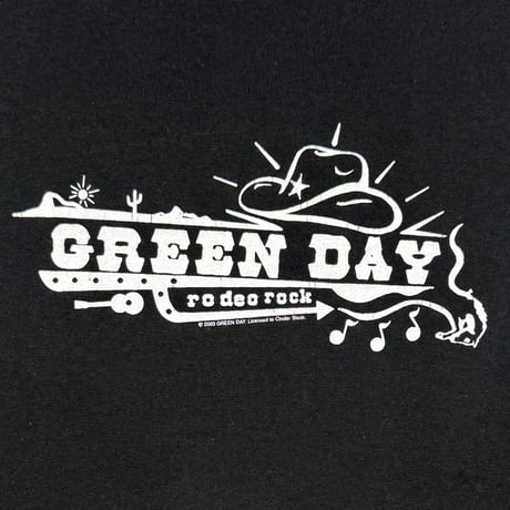 GREEN DAY 2003 RODEO ROCK CINDER BLOCK FITS LARGE 0619
