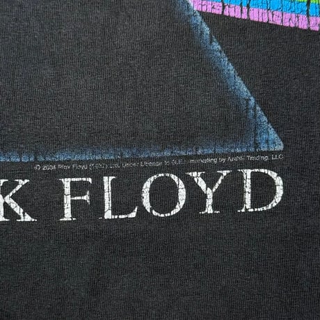 PINK FLOYD Y2K DARK SIDE OF THE MOON FITS LARGE 5780