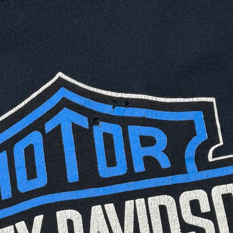 HARLEY DAVIDSON BLUE EMBLEM FLAME LS THURNALL'S XXL 5107