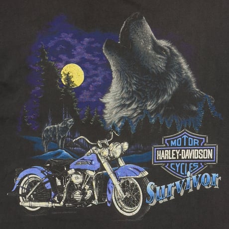 HARLEY DAVIDSON 1993 WOLF & EAGLE EDISON New Jersey LARGE 7416