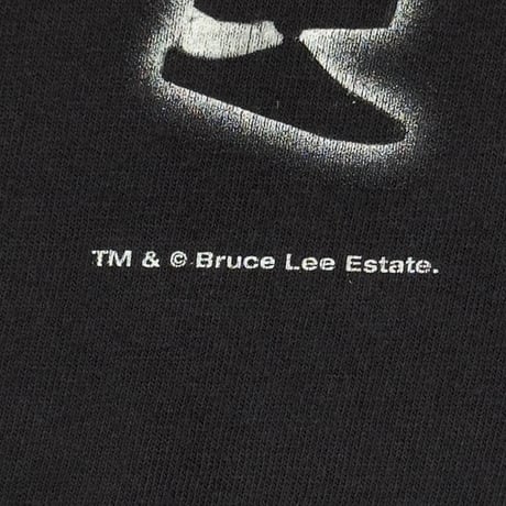 BRUCE LEE THE DRAGON 龍 CHANGES LARGE 6133