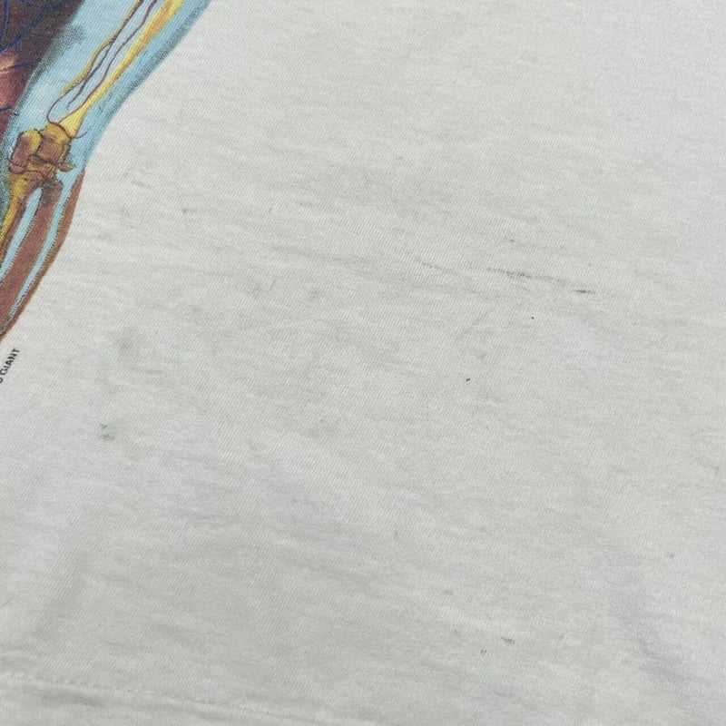 NIRVANA IN UTERO GIANT BY ANVIL XL 9054 | great