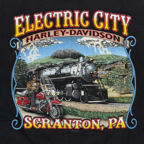 HARLEY DAVIDSON 2001 ENGINE FLAME LS ELECTRIC CITY SCRANTON XXL 5369