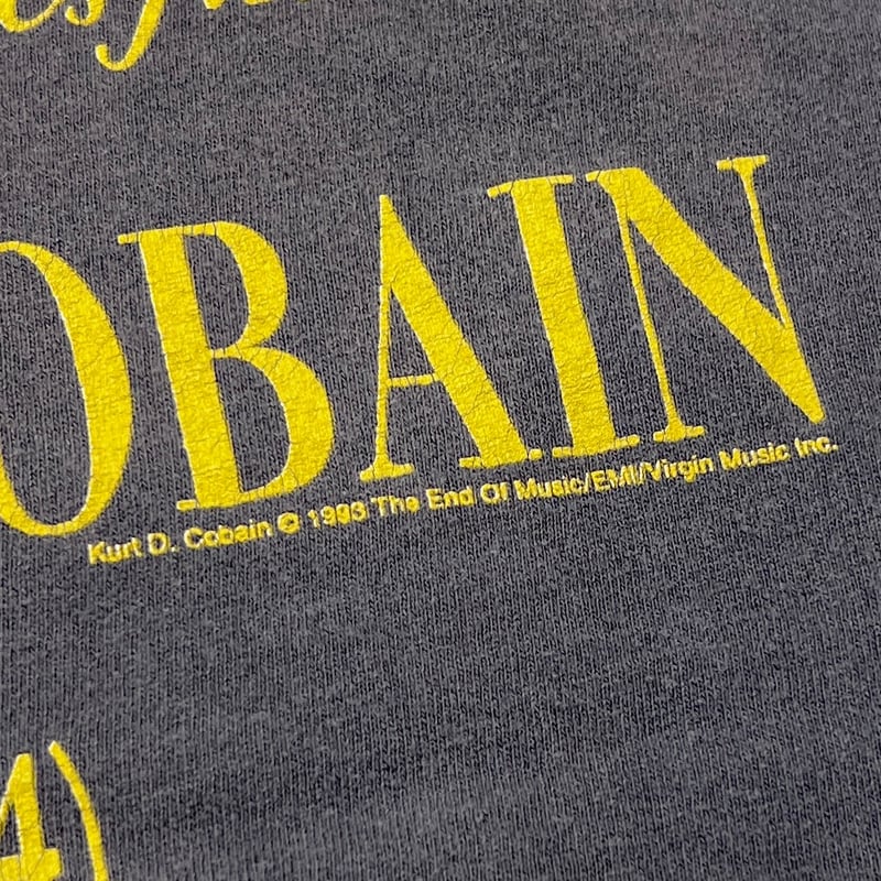 NIRVANA KURT COBAIN THE END OF MUSIC THE SUN IS