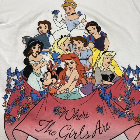 DISNEY PRINCESS WHERE THE GIRLS ARE TEE WHITE SMALL 8307