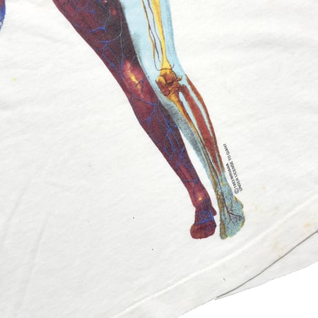NIRVANA 1993 IN UTERO WHITE giant LARGE 5840