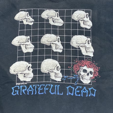 GRATEFUL DEAD LIQUID BLUE WHAT A LONG STRANGE TRIP ITS BEEN XL 1160