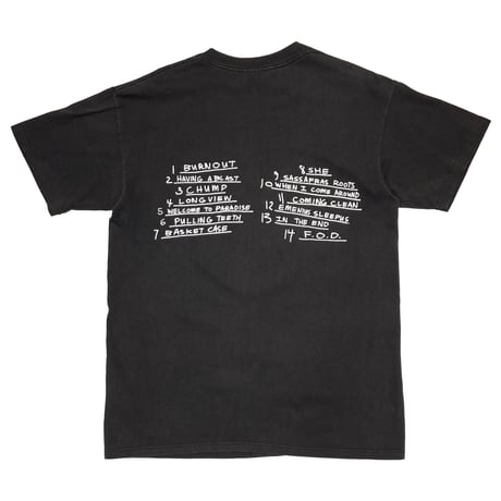GREENDAY 1994 dookie BROCKUM LARGE 3014