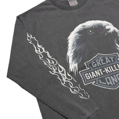 greatLAnd ORIGINAL KIMERA HD LS × ONEITA 10YEARS