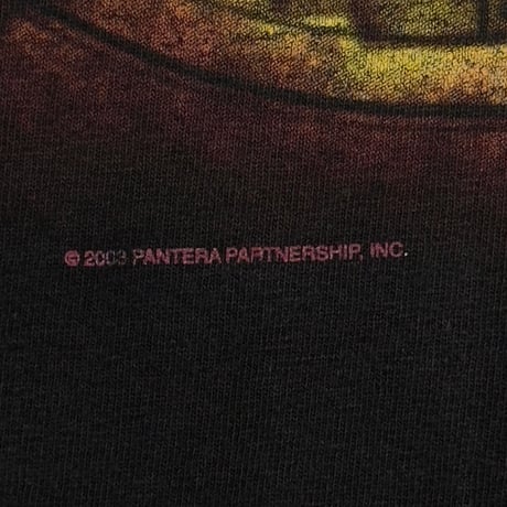 PANTERA 2003 COWBOYS FROM HELL TENNESSEE RIVER XL 0041