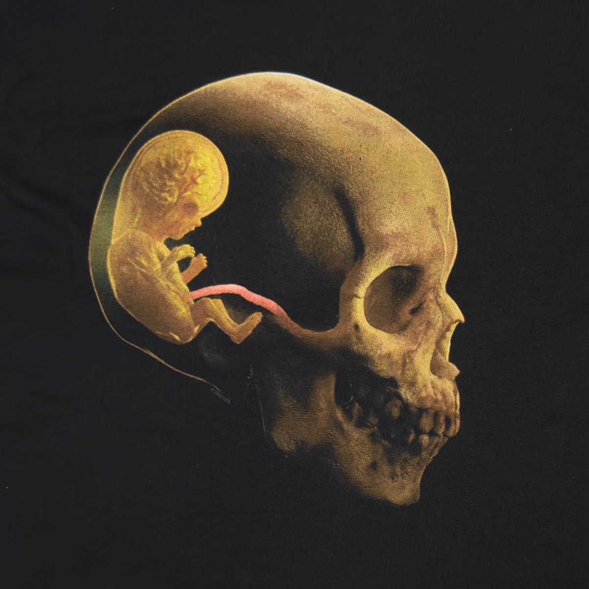 TOOL 2006 BABY IN SKULL anvil XL 2967 | greatLA