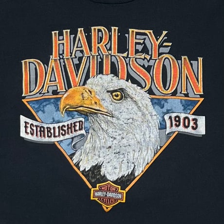 HARLEY DAVIDSON 1991 EAGLE FLAME COLORADO LS LARGE 5961